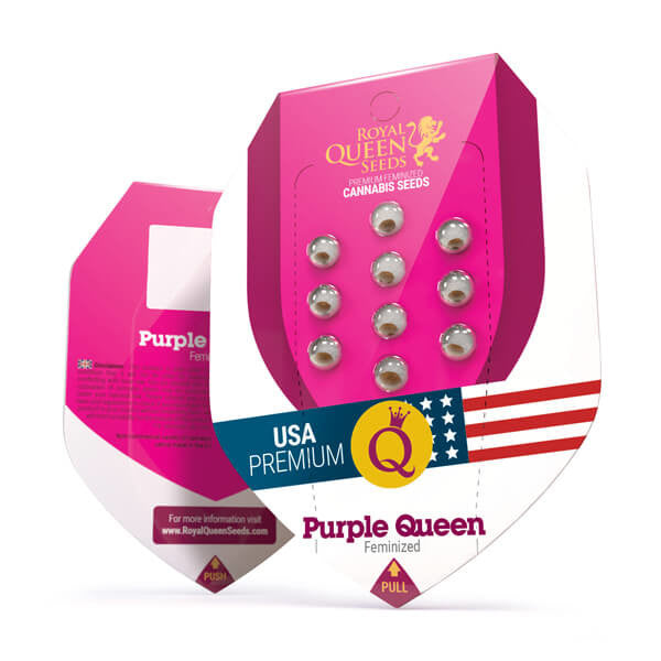 Royal Queen Seeds - Purple Queen